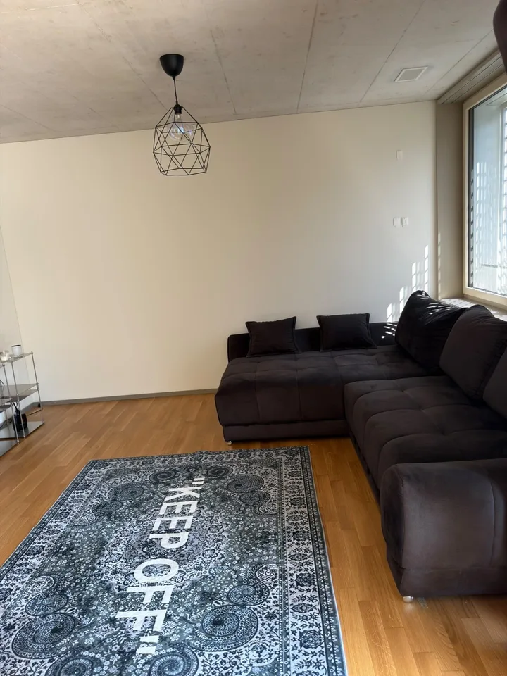 2.5-Room Furnished Apartment, Kloten – Available Immediately (Furniture Purchase Required)
