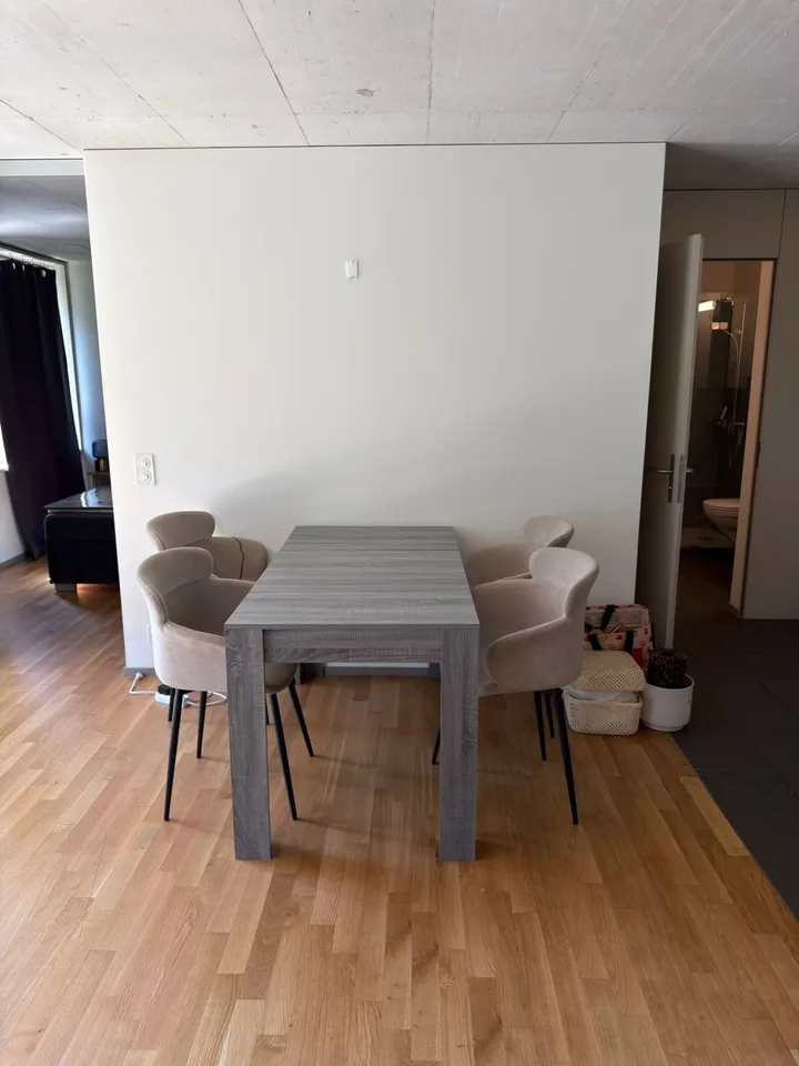 2.5-Room Furnished Apartment, Kloten – Available Immediately (Furniture Purchase Required)