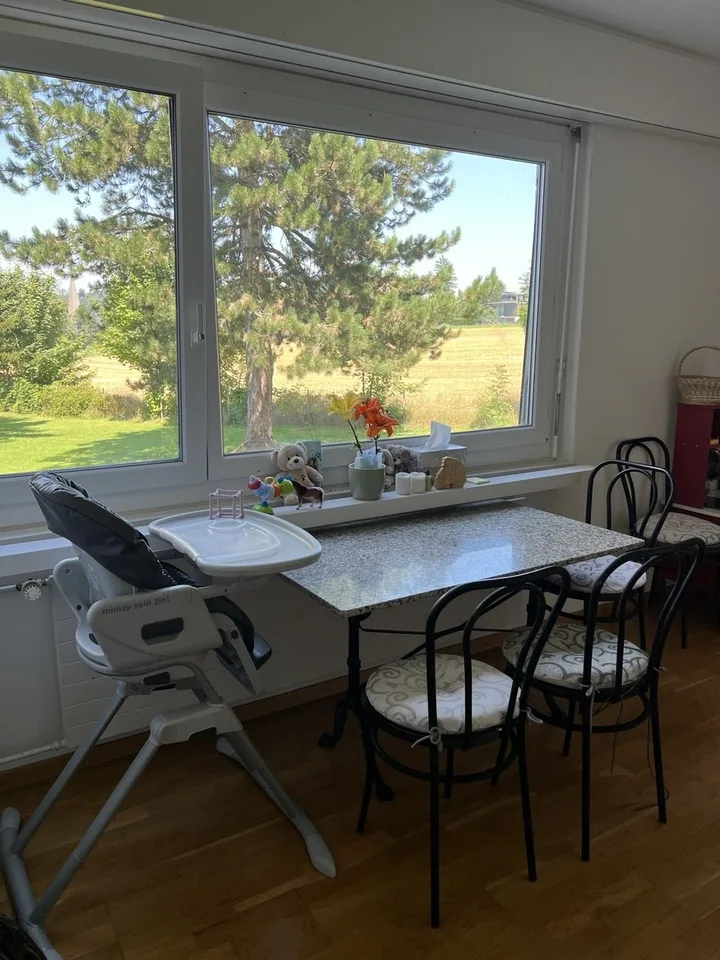 Spacious family apartment with private playground access in Zollikerberg