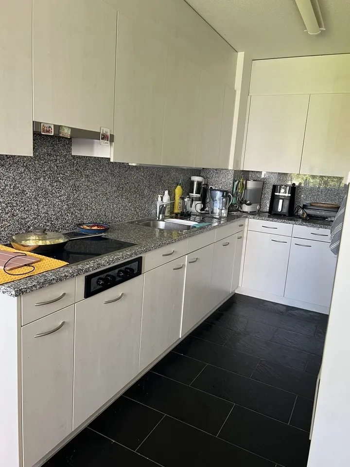 Spacious family apartment with private playground access in Zollikerberg