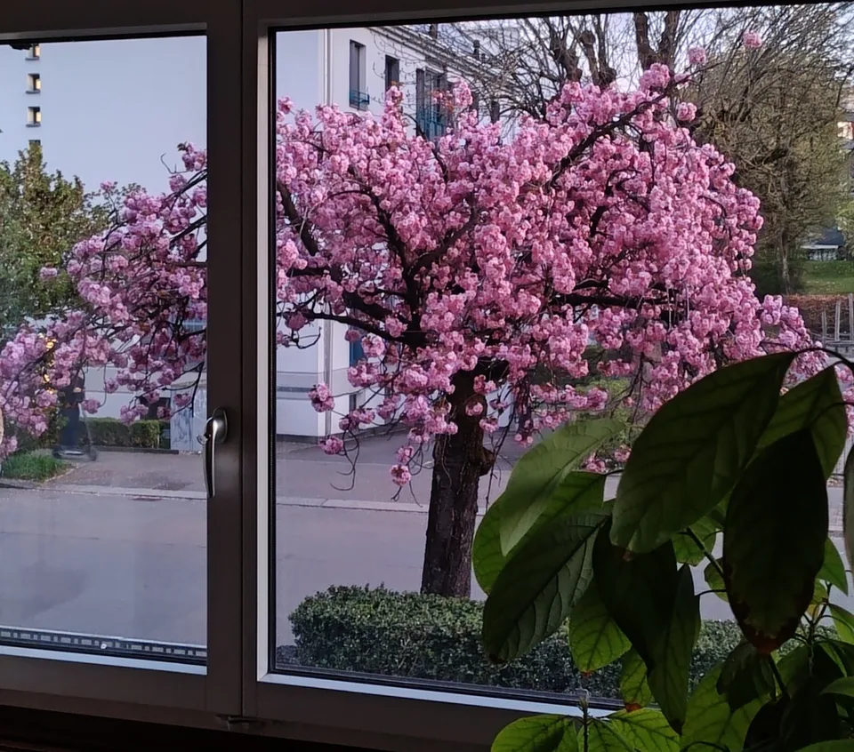 3.5 Zimmerwohnung Altstetten