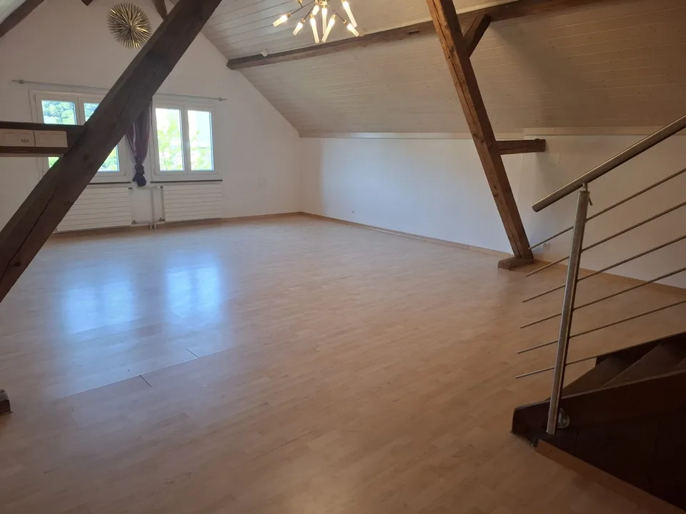 nicht alltägliche Wohnung/ Hausteil in Nussbaumen bei Baden