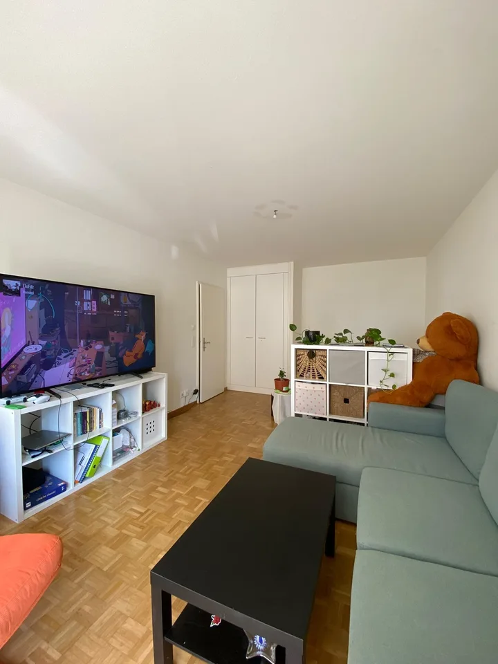 Helle 1-Zimmer-Wohnung mit Balkon – Top-Lage nahe Sihlcity & Morgental