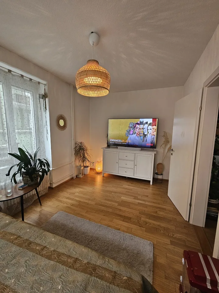 Big cozy and fully furnished flat in the heart of Zurich
