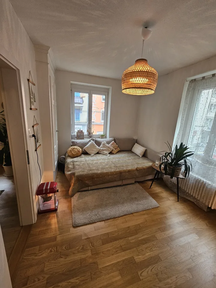 Big cozy and fully furnished flat in the heart of Zurich