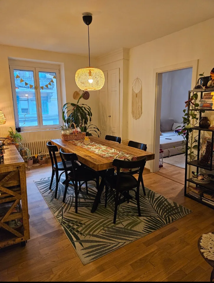 Big cozy and fully furnished flat in the heart of Zurich
