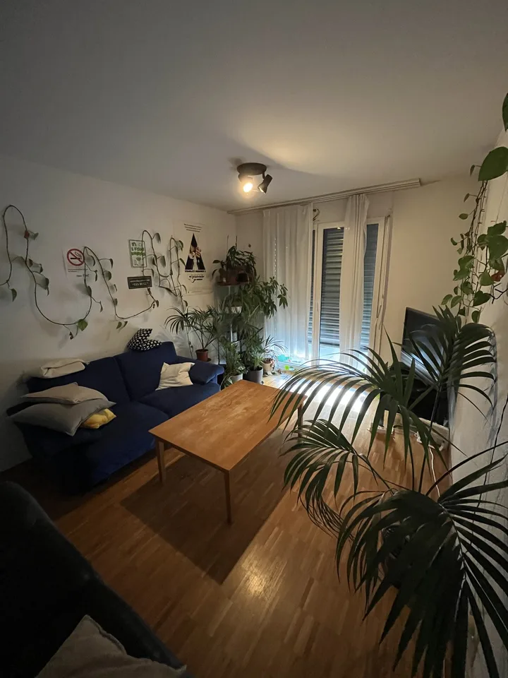 8050 Zürich - CHF 590 inkl. NK pro Monat