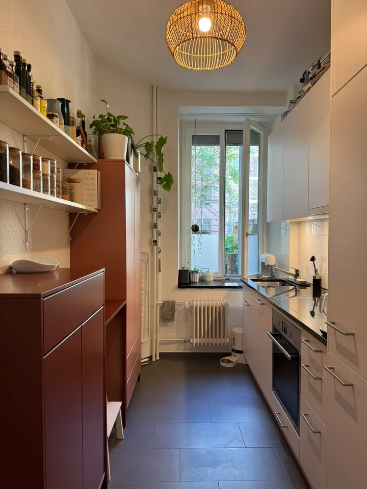 Befristete Wohnung in Wiedikon mit Katze