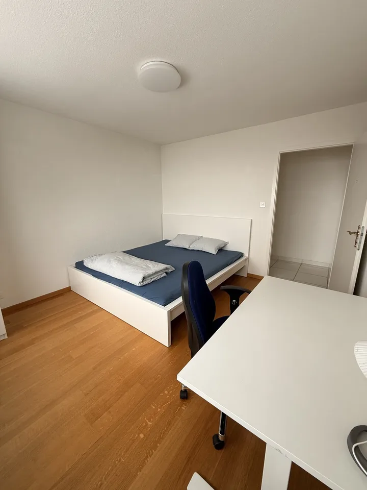 Cozy apartment in Zurich City