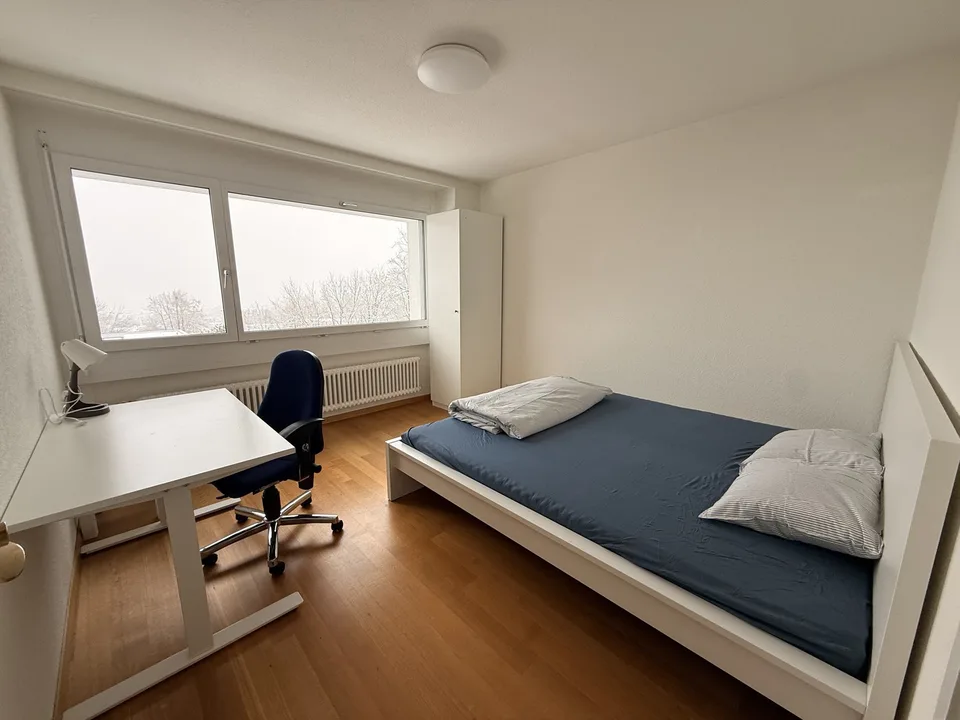 Cozy apartment in Zurich City