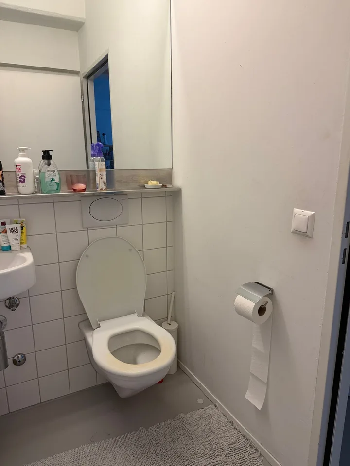Modern 2.5-Room Loft near Sihl City, Zürich – 3-Month Sublet