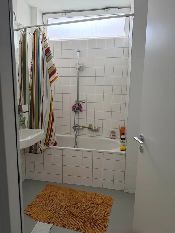 Modern 2.5-Room Loft near Sihl City, Zürich – 3-Month Sublet
