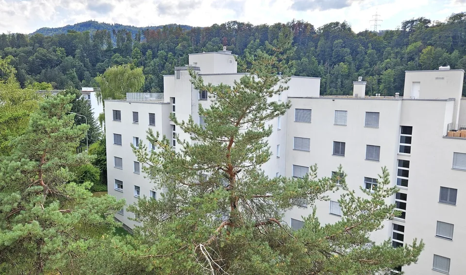 Helle 3.5-Zimmer-Wohnung