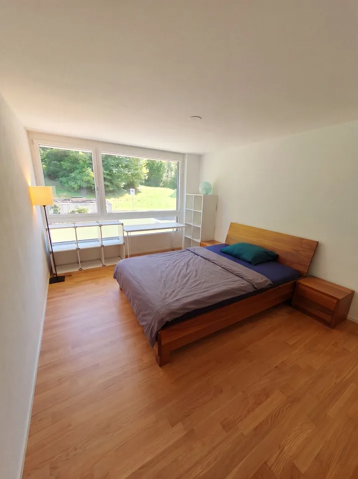 4 ½ Zimmer-Wohnung in Luzern mieten
