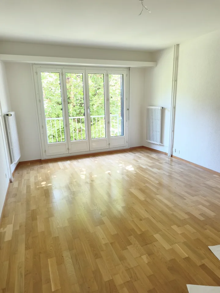 1-Zi.-Wohnung Bern  Nachmieter/in gesucht ab 1. September