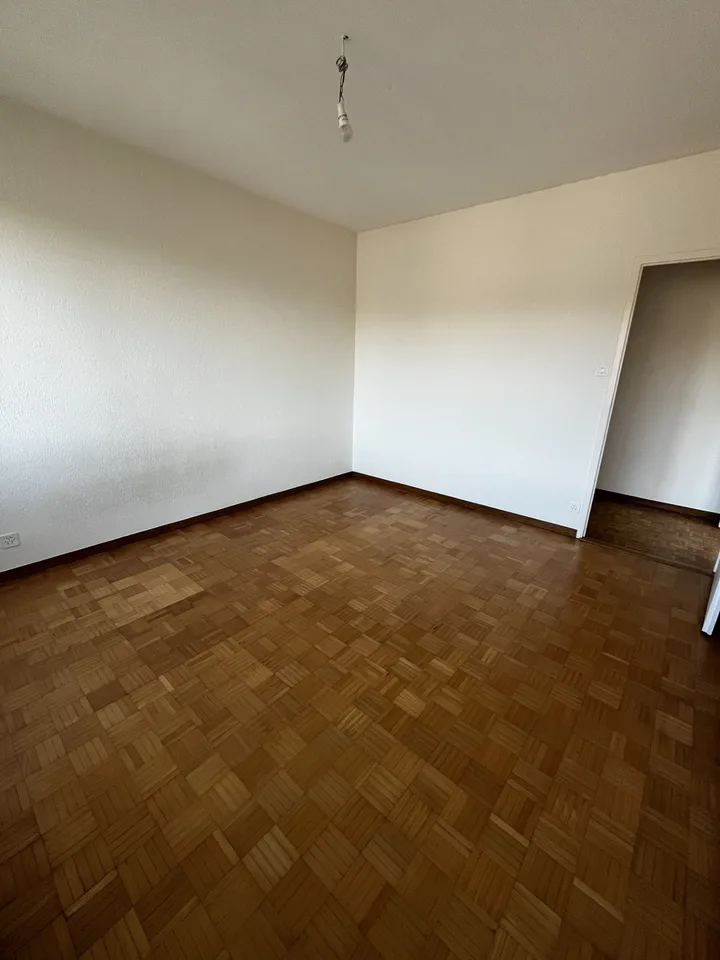 Appartement 4.5 pièces aux Pâquis