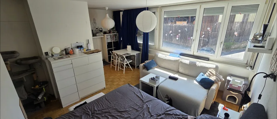 Superbe appartement lumineux au cœur de Carouge – Reprise de bail