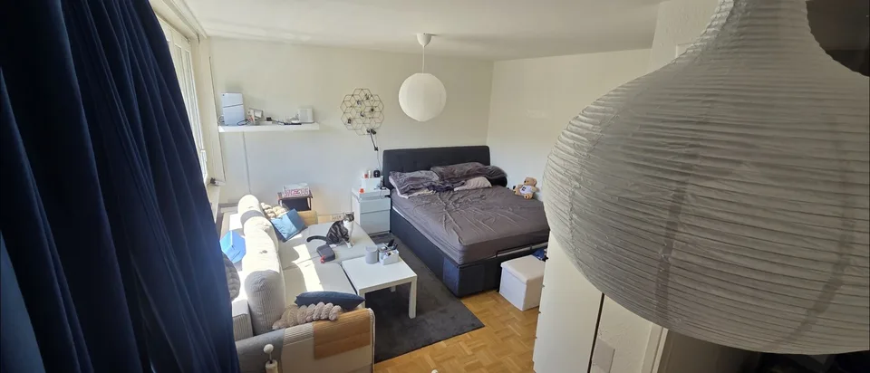 Superbe appartement lumineux au cœur de Carouge – Reprise de bail