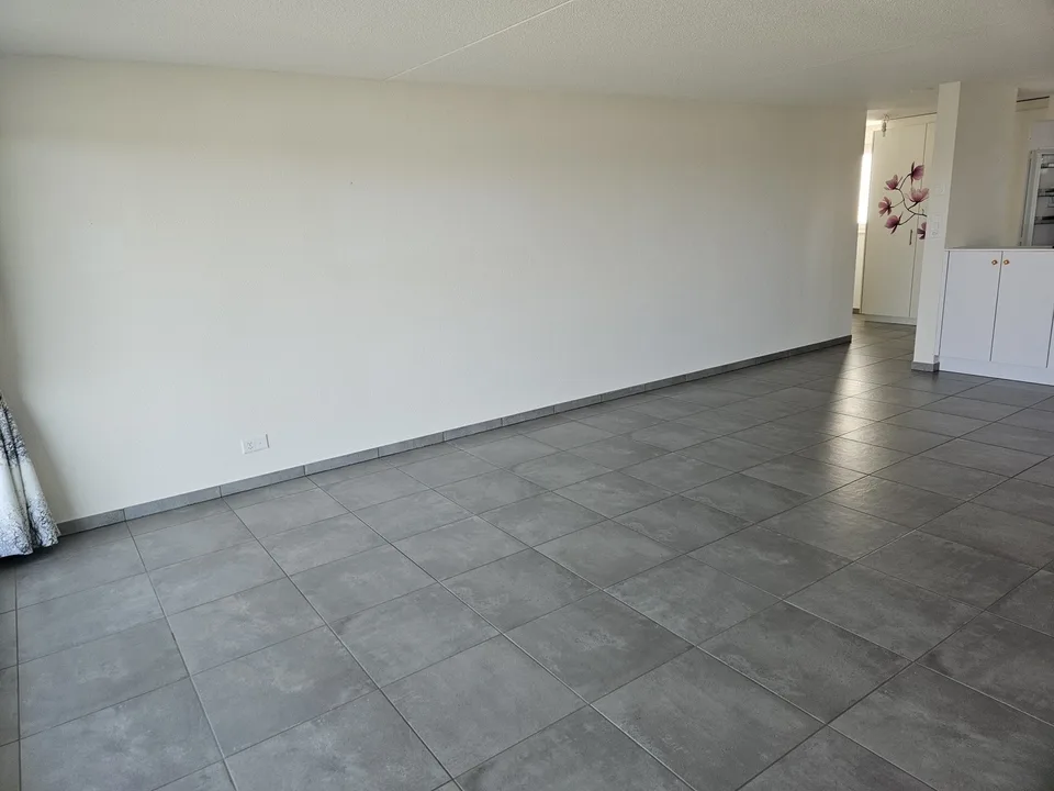 3.5 pièces avec vue imprenable et très lumineux
