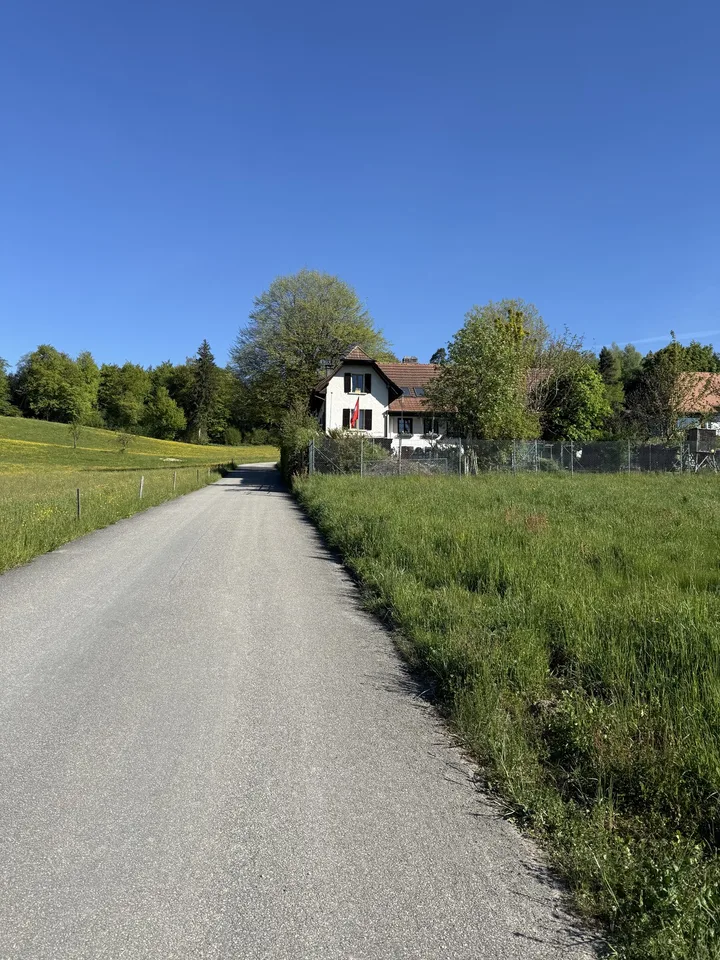 3 Zimmerwohnung im Grünen