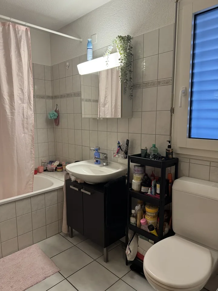 Nachmieter gesucht – schöne 2.5 Zimmer Wohnung in Mülligen