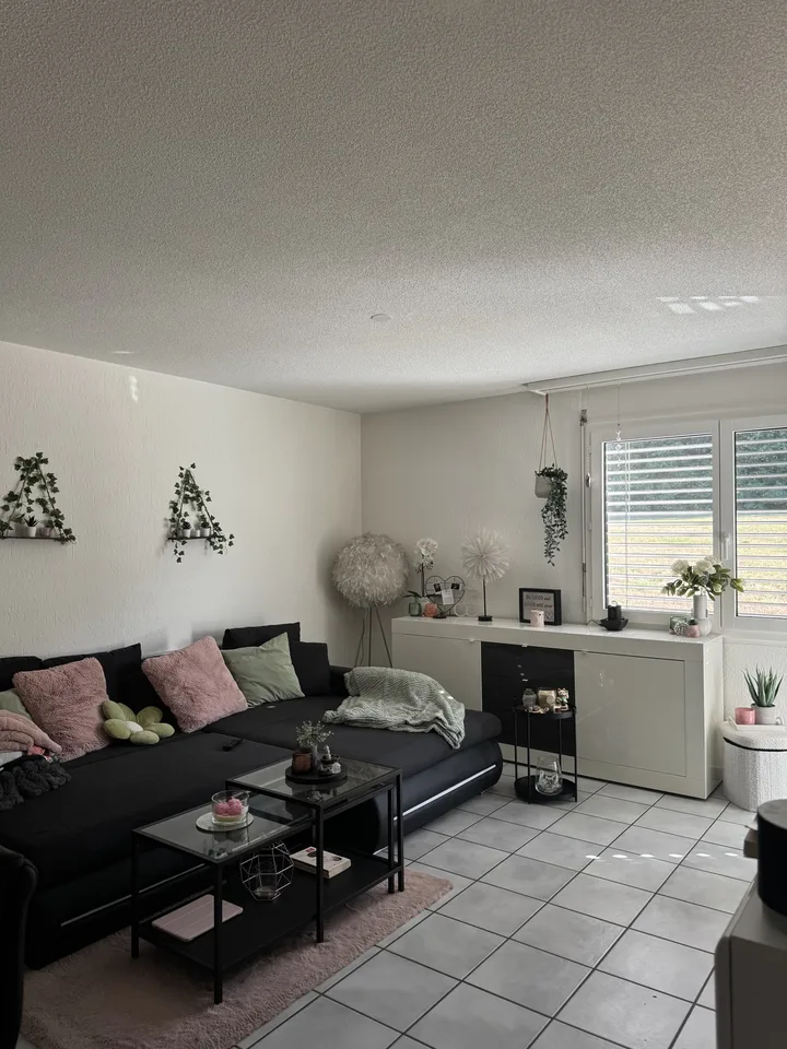 Nachmieter gesucht – schöne 2.5 Zimmer Wohnung in Mülligen
