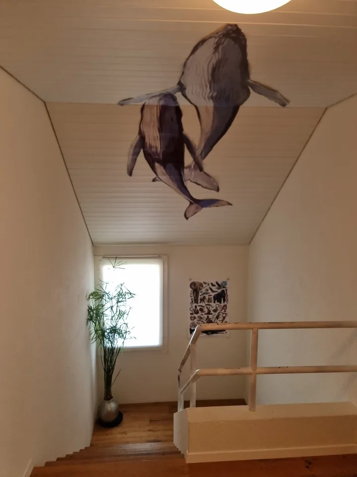 5½ ZIMMER-HAUS IN OBERNAU (LU), MÖBLIERT, TEMPORÄR