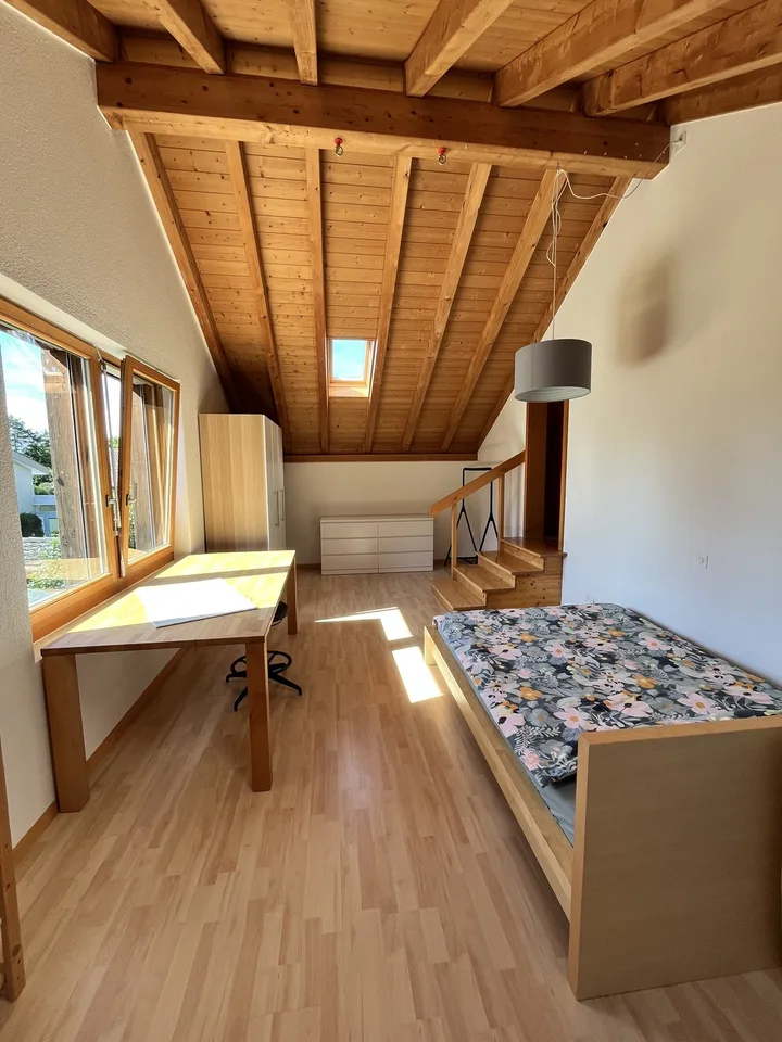 Grosses Dachzimmer / Spacious Attic Room