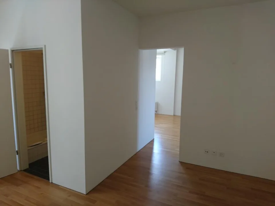 Charmante 1.5-Zimmer-Loftwohnung (47 m²) mit 3 m hohen Decken – zentrale Lage in Wohlen AG