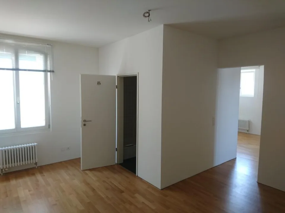 Charmante 1.5-Zimmer-Loftwohnung (47 m²) mit 3 m hohen Decken – zentrale Lage in Wohlen AG