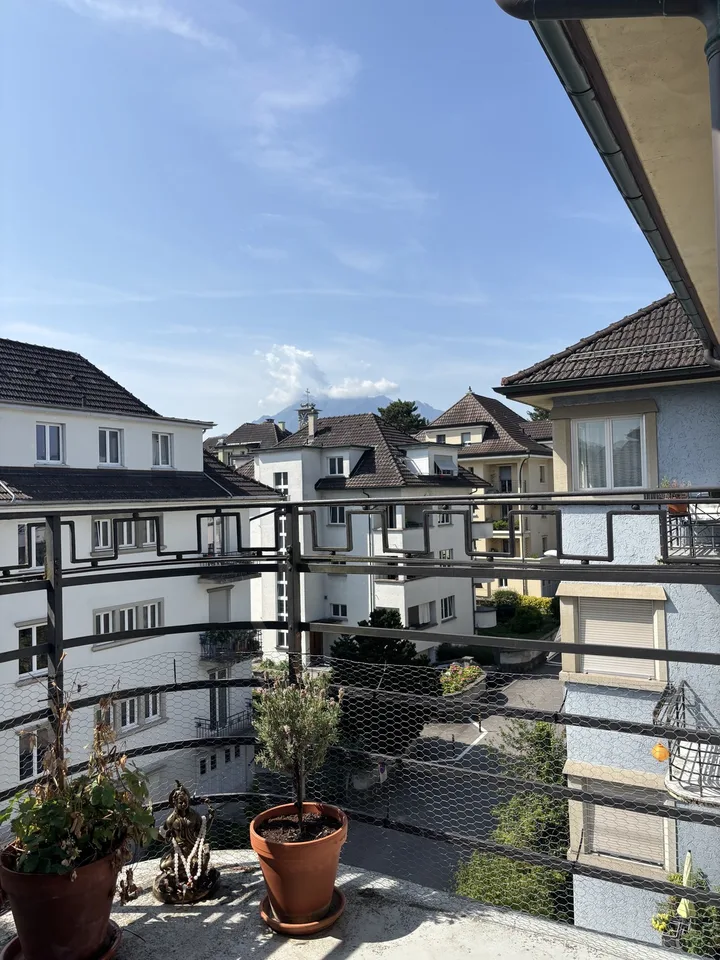 Mitbewohnerin gesucht!