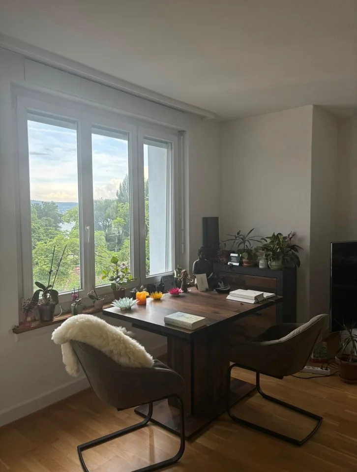 Furnished room in Zurich Wollishofen – available from 1 September