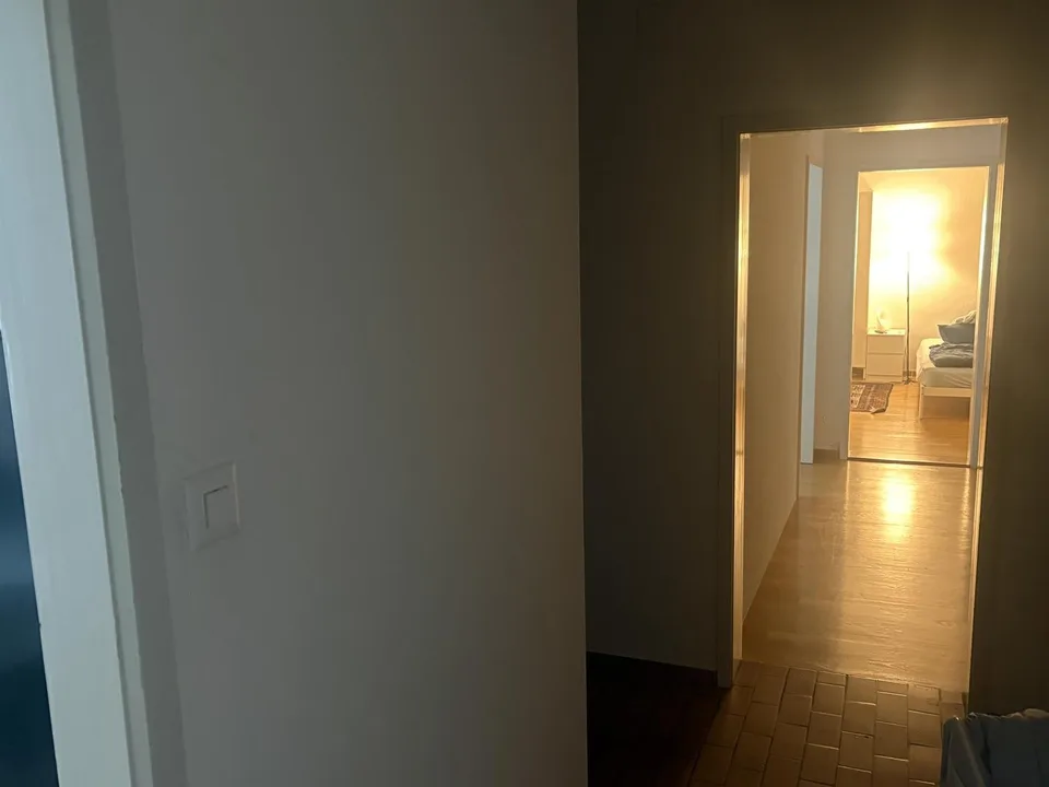 Gemütliche 3-Zimmer-Wohnung im Erdgeschoss an der Baslerstrasse, Zürich
