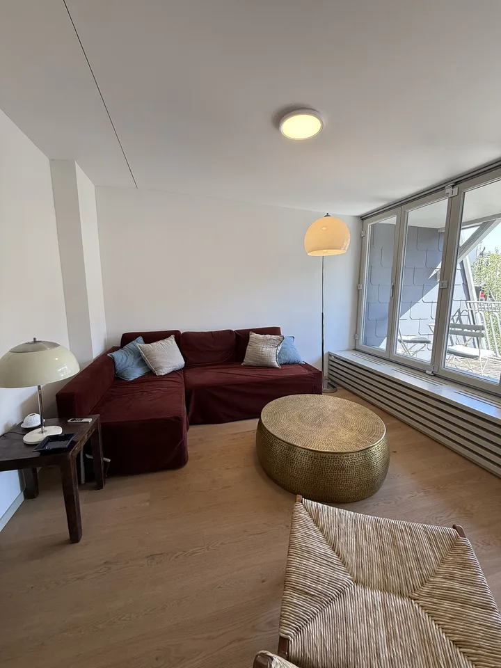 Fully furnished room in Bright Penthouse with Private Rooftop in Oerlikon – Available from September 1