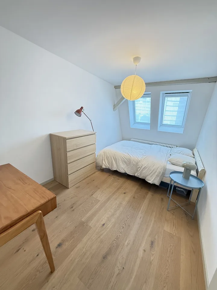 Fully furnished room in Bright Penthouse with Private Rooftop in Oerlikon – Available from September 1