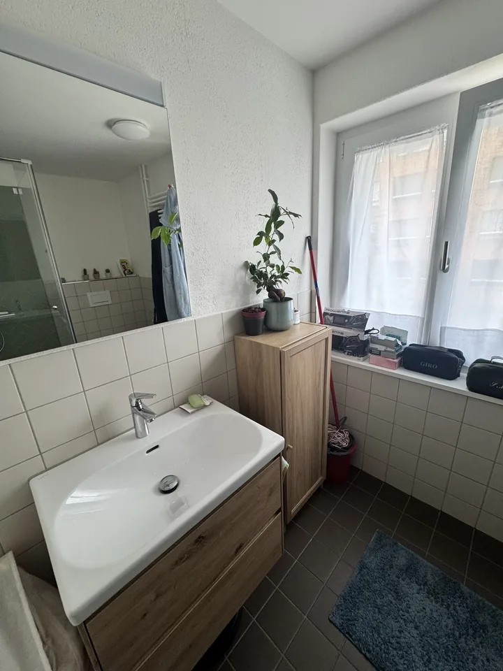 Spacious 2.5 apartment with terrace and cellar