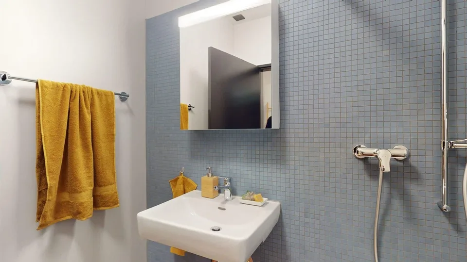 Kleine Loft- Wohnung (55m2, 2024 Neubau)
