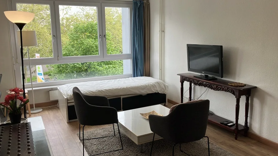 Cozy Furnished studio in Geneva near International Organisations