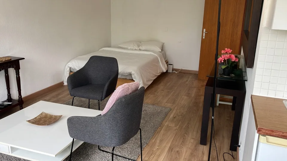 Cozy Furnished studio in Geneva near International Organisations