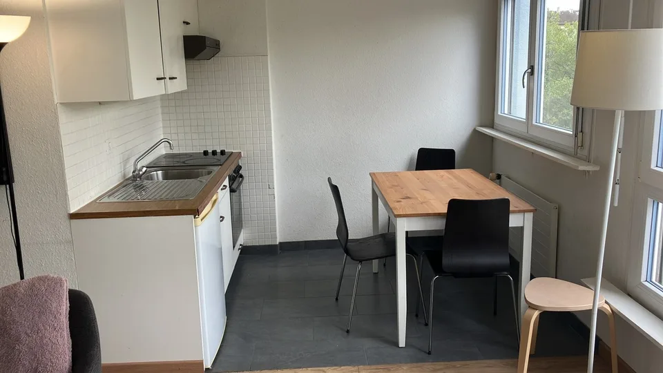 Cozy Furnished studio in Geneva near International Organisations