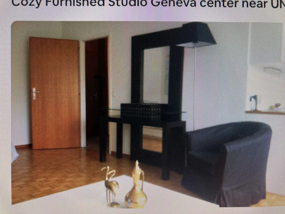 Cozy Furnished studio in Geneva near International Organisations