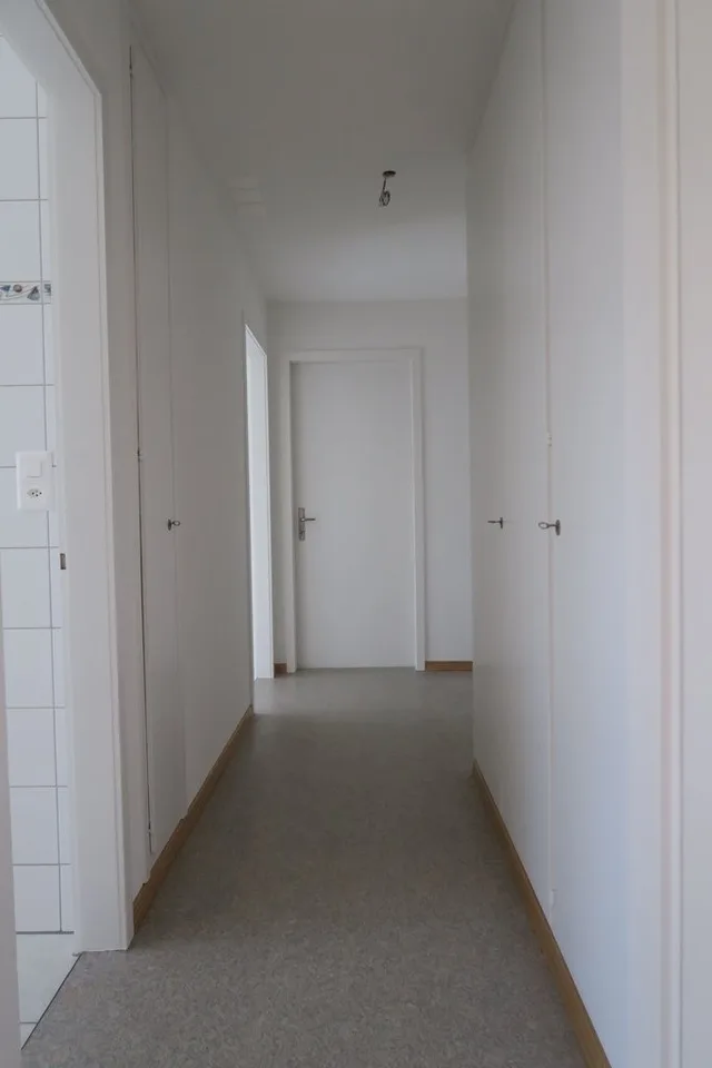 Renovierte Wohnung mit Blick ins Grüne