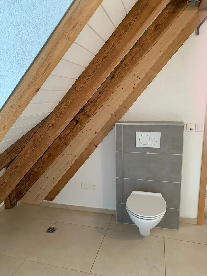 Loft Wohnung mit viel Extras 5.5 Zi.