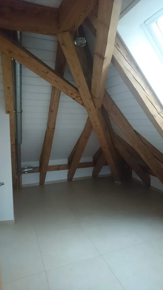 Loft Wohnung mit viel Extras 5.5 Zi.