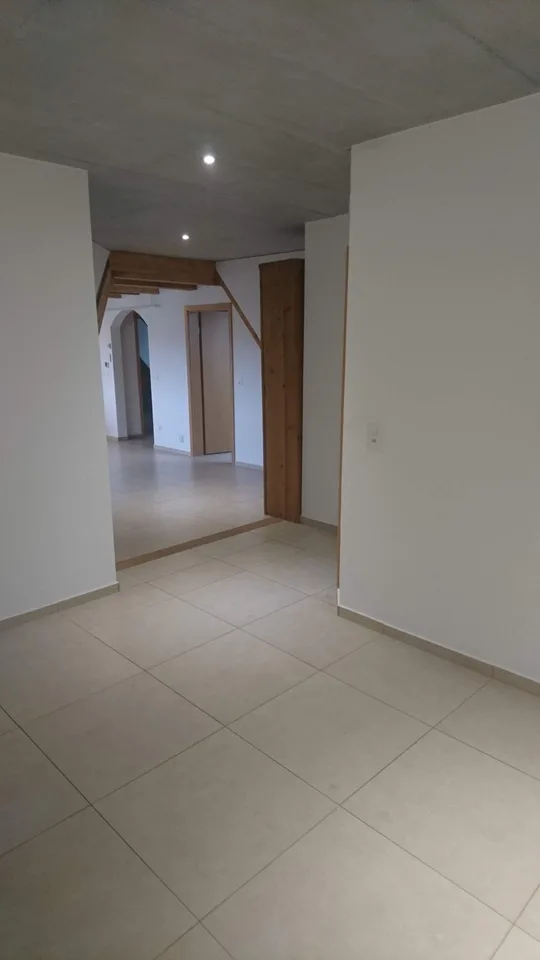Loft Wohnung mit viel Extras 5.5 Zi.