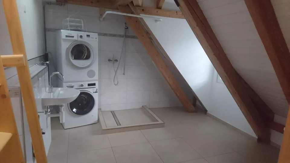 Loft Wohnung mit viel Extras 5.5 Zi.
