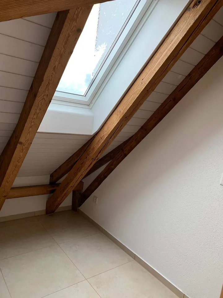 Loft Wohnung mit viel Extras 5.5 Zi.