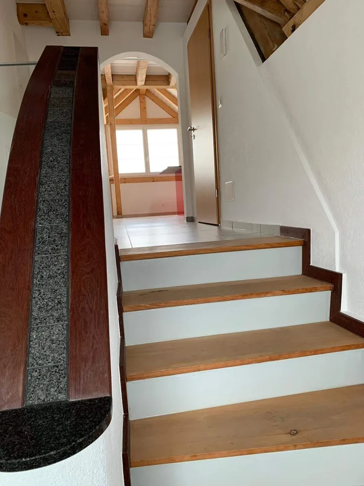 Loft Wohnung mit viel Extras 5.5 Zi.
