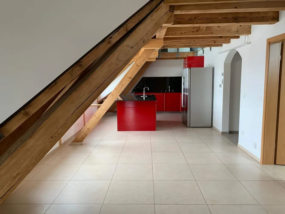 Loft Wohnung mit viel Extras 5.5 Zi.