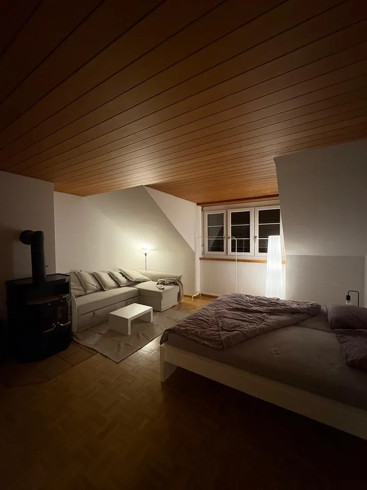 Room in Winterthur